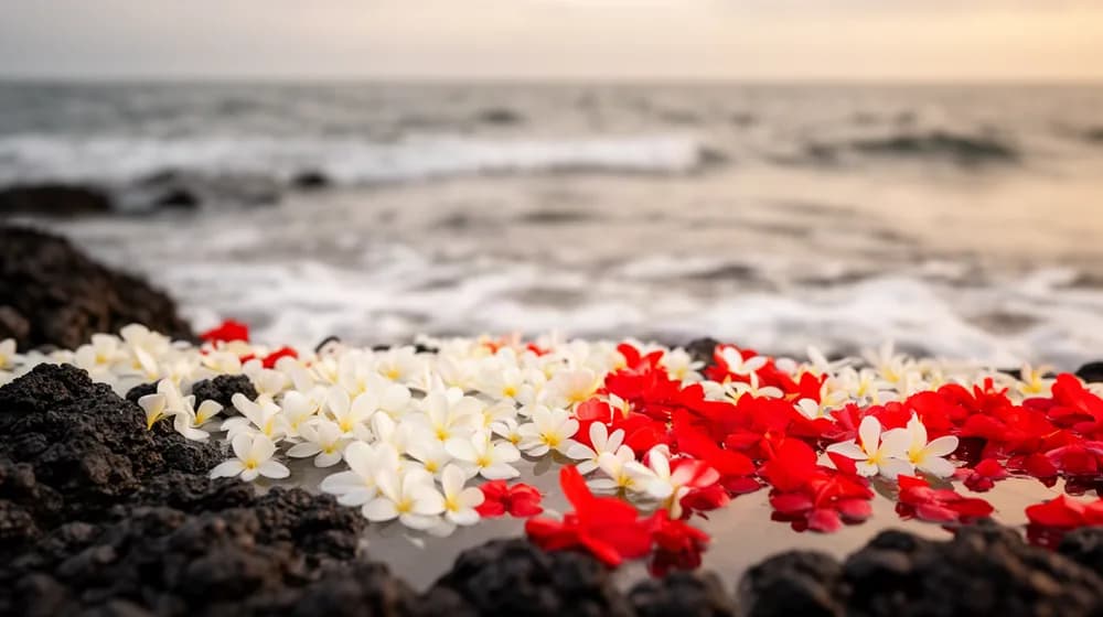 Des fleurs blanches et rouges flottant sur la mer près d’un rivage de basalte
