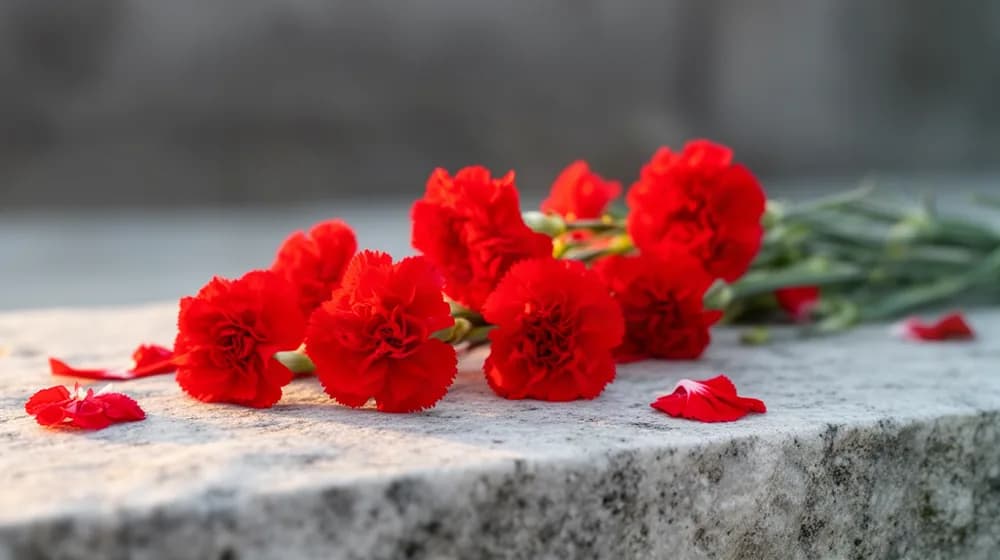 Des œillets rouges déposés un à un sur une dalle de pierre claire
