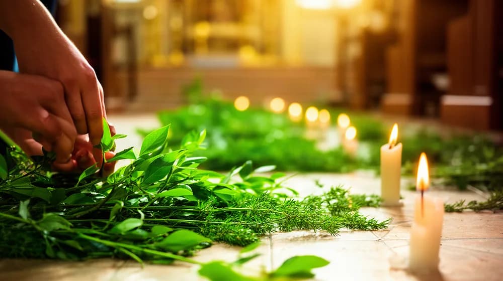 Des branches vertes et des herbes répandues sur un sol dallé, entre des cierges allumés