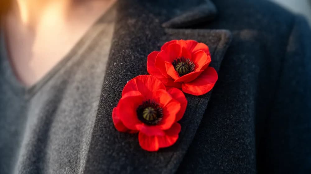 Des coquelicots rouges en tissu épinglés sur le revers d’un manteau de laine sombre