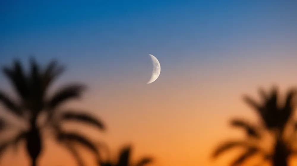 Un fin croissant de lune dans un ciel de crépuscule, des palmiers en silhouette